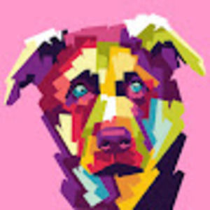 Meet your Posher, Cheng